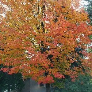 Meet your Posher, Marylou